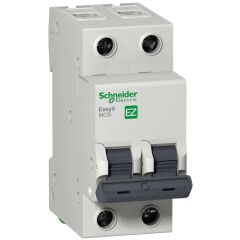 Schneider Electric EZ9F56210 2X10A C 6kA Otomatik Sigorta