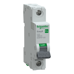 Schneider Electric EZ9F57125 1X25A C 6kA Otomatik Sigorta Easy9 Pro