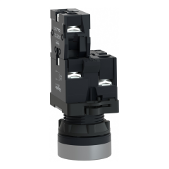 Schneider Electric XA2EW34B2 Kırmızı Ledli Yaylı Buton 24V AC/DC 1NK