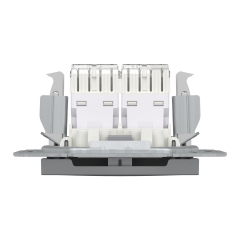 Schneider Electric EPH4800162 Asfora Çelik 2xRJ45CAT6-UTP Prizi