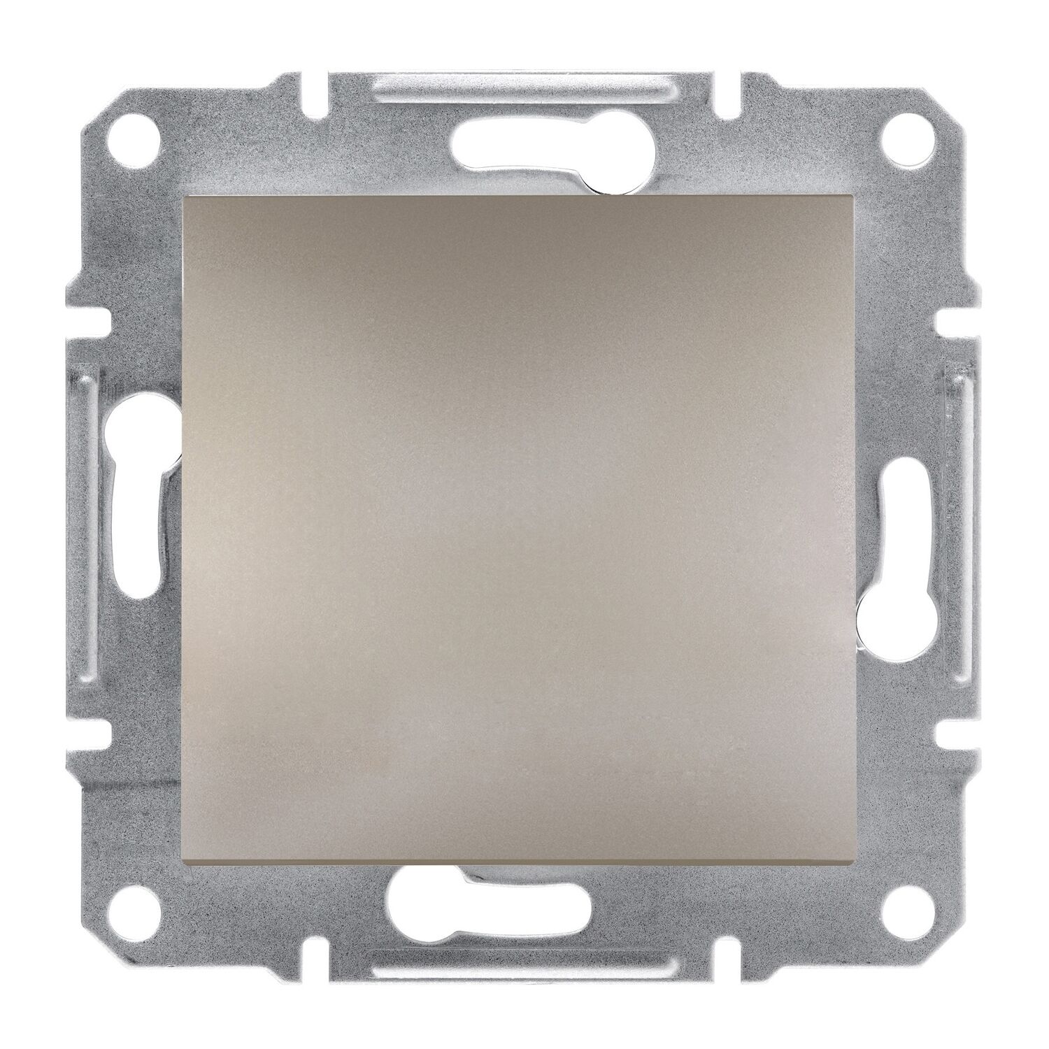 Schneider Electric EPH5600169 Asfora Bronz Kör Kapak