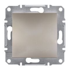 Schneider Electric EPH5600169 Asfora Bronz Kör Kapak