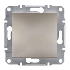 Schneider Electric EPH5600169 Asfora Bronz Kör Kapak